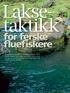 Laksetaktikk. for ferske fluefiskere