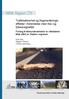 Trafikksikkerhet og fragmenteringseffekter i forbindelse med riks- og fylkesvegnettet