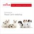 Bruksanvisning. Royal Canin webshop