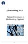 Årsberetning 2014. Epilepsiforeningen i Hedmark og Oppland. Side 1