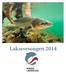 Laksesesongen 2014. Laksesesongen 2014 17.10.14 - Norske Lakseelver