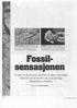 Fossilsensasionen. De døde for flere hundre millioner år siden, men sørger likevel for at det ikke blir noe av en planlagt fotballtribune i Røyken.