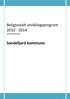 Boligsosialt utviklingsprogram 2010-2014 SLUTTRAPPORT. Sandefjord kommune