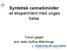 Syntetisk cannabinoider -et eksperiment med unges helse. Trond Ljøkjell avd. leder KoRus Midt-Norge