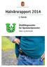 Halvårsrapport 2014. 1. Halvår