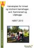 Halvårsplan for Innset og Vonheim barnehager, avd. Kammerset og Litjstuggu HØST 2013
