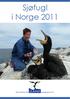 Sjøfugl i Norge 2011 Resultater fra programmet