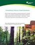 Rainforest Alliance/SmartWood Interim Standards for vurdering av skogforvaltning i Norge. Title: Innholdsfortegnelse