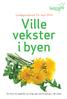 Lørdagsverksted 24. mai 2014. Ville vekster i byen. Her finner du oppskrifter og mange gode tips til sanking av ville vekster