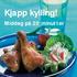 Kjapp kylling! Middag på 20 minutter