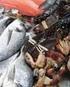 Risikovurdering av organiske tinnforbindelser i sjømat