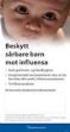 Statusrapport om ny influensa A(H1N1) 20. juli 2009