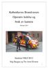 Københavns Brandvæsen Operativ ledelse og bruk av kamera