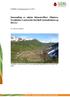 Innsamling av alpine blomsterfluer (Diptera, Syrphidae) i sørnorske høyfjell (Jotunheimen og Dovre)