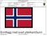 8455-2561 ermflagg, svart ytterkant 1. Forside - Forsvaret Description