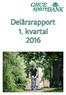 Delårsrapport 1. kvartal 2016