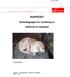 RAPPORT Arbeidsgruppe for vurdering av innførsel av kjæledyr