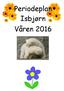 Periodeplan Isbjørn Våren 2016