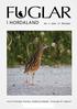 FUGLAR I HORDALAND NR. 3 2008 37. ÅRGANG. Norsk Ornitologisk Forening - Avdeling Hordaland - Foreningen for Fuglevern