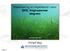Klassifisering av miljøtilstand i vann BKE: Angiospermer ålegress. Frithjof Moy