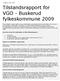 Tilstandsrapport for VGO - Buskerud fylkeskommune 2009