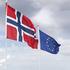 Europeiske løsninger passer de for norske forhold?