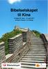 Bibelselskapet til Kina