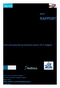 RAPPORT. LeppeProd. Effekt av phospholipid og hydrolysert protein i fôr til Berggylte. NIFES, Nofima, Havforskningsinstituttet