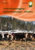 Vinterfôrplanlegging i kjøttfebesetninger - ammeku