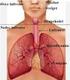Luftveisinfeksjoner i spedbarnsalder og astma