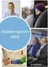 Årsrapport 2011 Internrevisjon Pasientreiser ANS