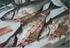 Viser til søknad fra Levende Torsk AS om etablering av anlegg for fangstbasert akvakultur av torsk mottatt