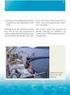 Rapport. Evaluering av teknologi for ombordpumping av pelagisk fisk. Sammenlikning av sentrifugalpumpe og vakuumlasting