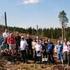 Strategi for økt satsing på skogkultur i Vestfold; - praktisk veiledning