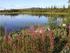 Høring: Vesentlige vannforvaltningsspørsmål Vannområde Mjøsa og Glomma