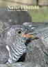 Ornitologiske observasjoner i Østfold t.o.m , - nytt fra den lokale rapport og sjeldenhetskomiteen (LRSK)