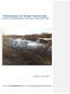 Tiltaksanalyse for Neiden vannområde Innspill til forvaltningsplan for vannregion Finnmark ( )