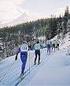 Gaustaløpet Rjukan - Gransherad. 25 km Fjellstua-Bitringsnatten. Trim (Påmeldt: 6 - Startet: 5 - Fullført: 5 - Premier: 0)