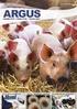 LA-MRSA Retningslinje for håndtering i svinebesetninger