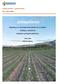 JORDBÆRSKADE. Utprøving av ny kunnskap innen plantevern av jordbær, utvikling av metode for økologisk og integrert plantevern