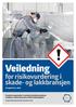 Veiledning. for risikovurdering i skade- og lakkbransjen. Prosjekt ID nr. 3009