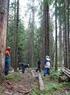 Rydding av stier og løyper i barskog reservat. Fra seminar om rydding av stier og løyper september 2010