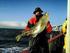 5-kilometersonen for utlendingers innlandsfiske