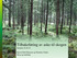 Tilbakeføring av aske til skogen Seminar Kjersti Holt Hanssen og Nicholas Clarke Skog og landskap