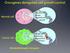 Oncogenic Mutations Affecting Cell Proliferation