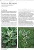Jord- og Plantekultur 2014 / Bioforsk FOKUS 9 (1) Sorter