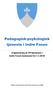 Pedagogisk-psykologisk tjeneste i Indre Fosen. Organisering av PP-tjenesten i Indre Fosen kommune fra