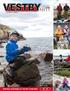 Børgefjell-laft AS Vurdering søknad om næringsstøtte fra Hattfjelldal kommune