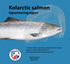 Kolarctic salmon Oppsummeringsrapport