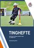 TINGHEFTE. Årsberetning 2016